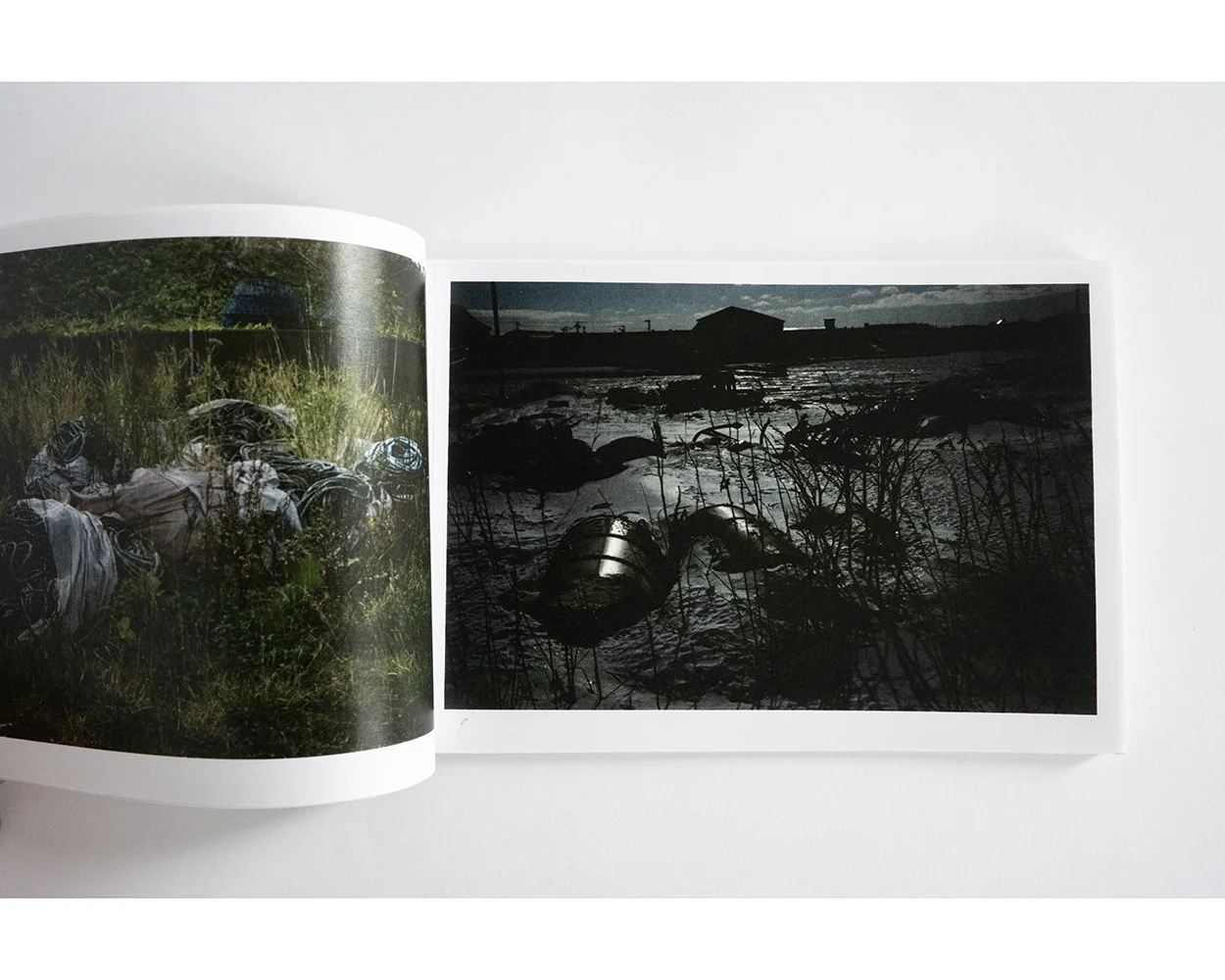 Saul Leiter: Early Color (Signed) — bookdummypress